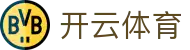 Kaiyun Sports 官网中国入口 - 开云全站电子 H5、iOS 安装注册网址
